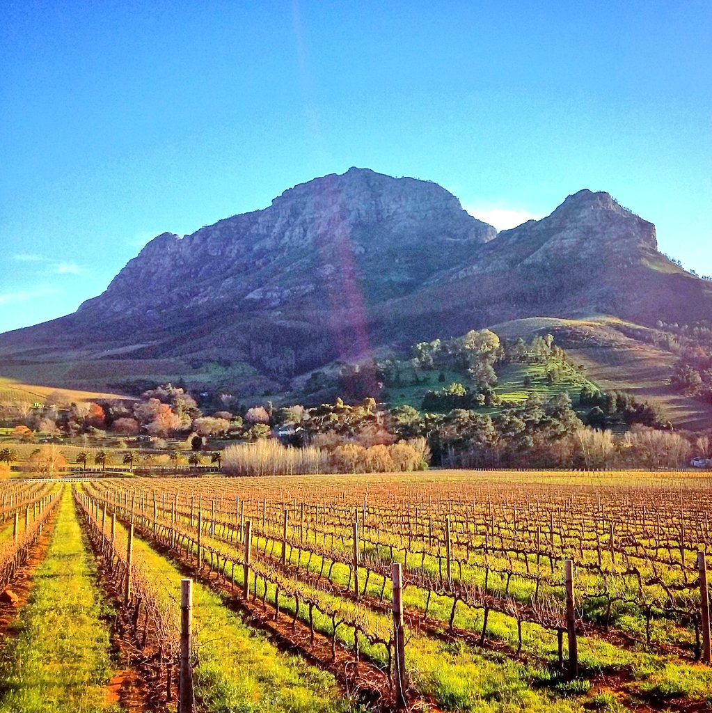 BataviaStb's tweet photo. The beautiful Helshoogte Pass drive. Read more https://t.co/xEgdCIrSMA
#BataviaStellenbosch #visitStellenbosch https://t.co/5pUCTNyrsV