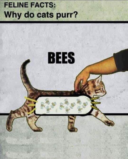 Is it true?