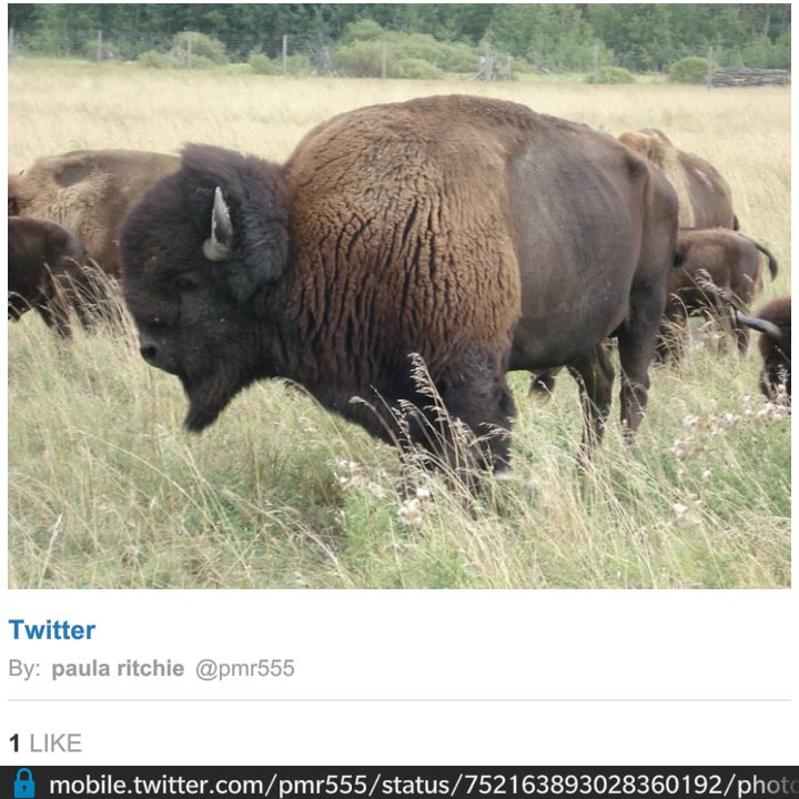 ecoexploremb's tweet photo. Great shot at Eco Explore site FortWhyteAlive by @pmr555. Visit any site until Labour Day, post pics #ecoexploremb. https://t.co/bhY8wtwFpN