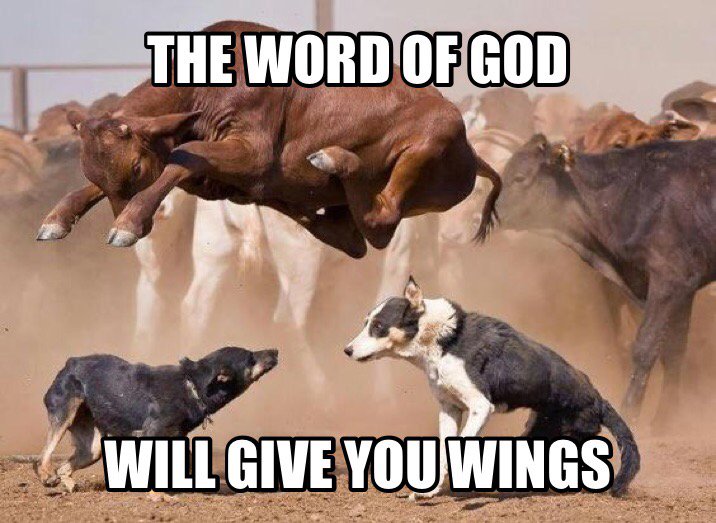 WordGameApp's tweet image. Play the game! Sign up at thewordgameapp.com #familygamenight #wordofgod #christianfun bit.ly/MEMEPRODUCER