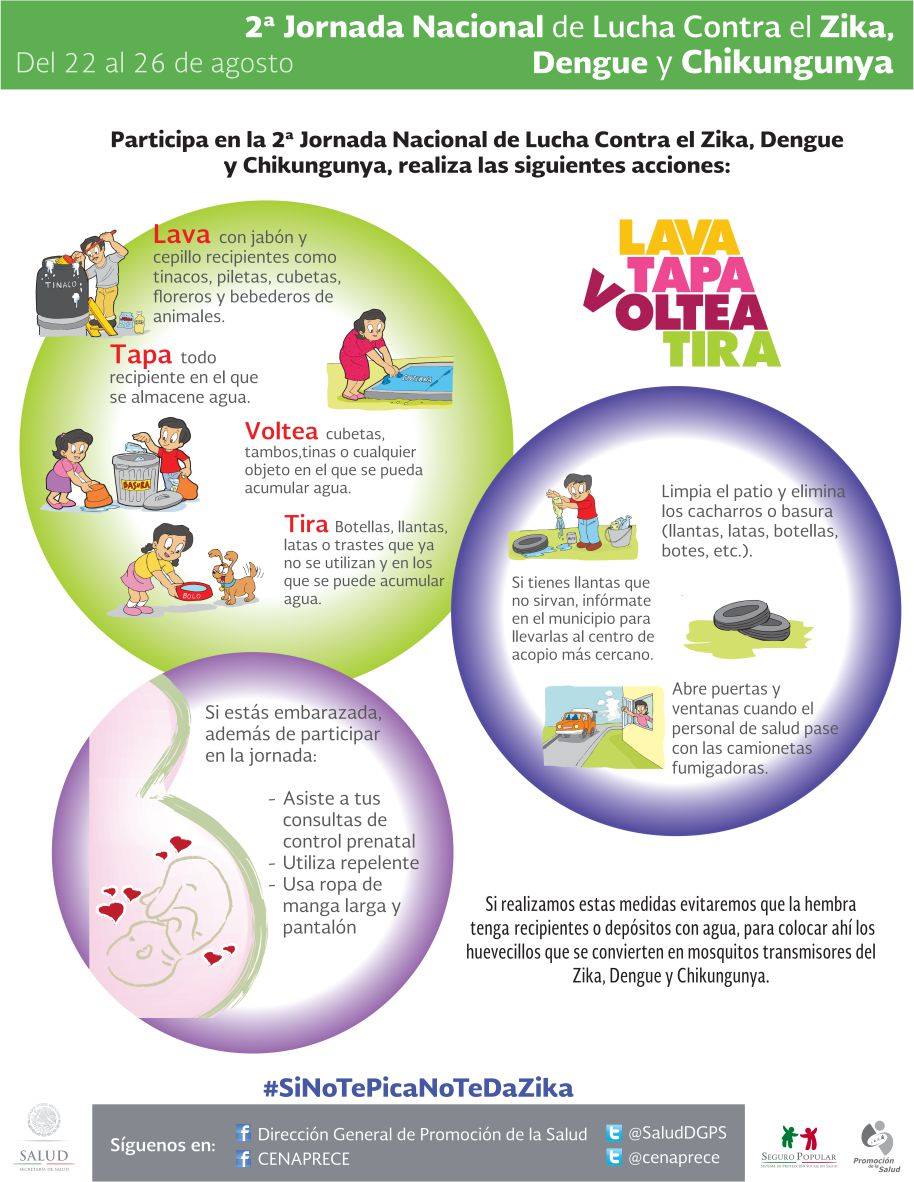 Estrada_Day's tweet photo. 2a Jornada Nacional de Lucha contra el #Zika, #Dengue y #Chikungunya.
#LavaTapaVolteaTira.
@gobiernozac 
@SSZ_Zac https://t.co/5CXRkrsUFi