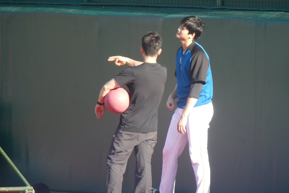 まいこ 写真 على تويتر 猫背可愛い 大谷翔平