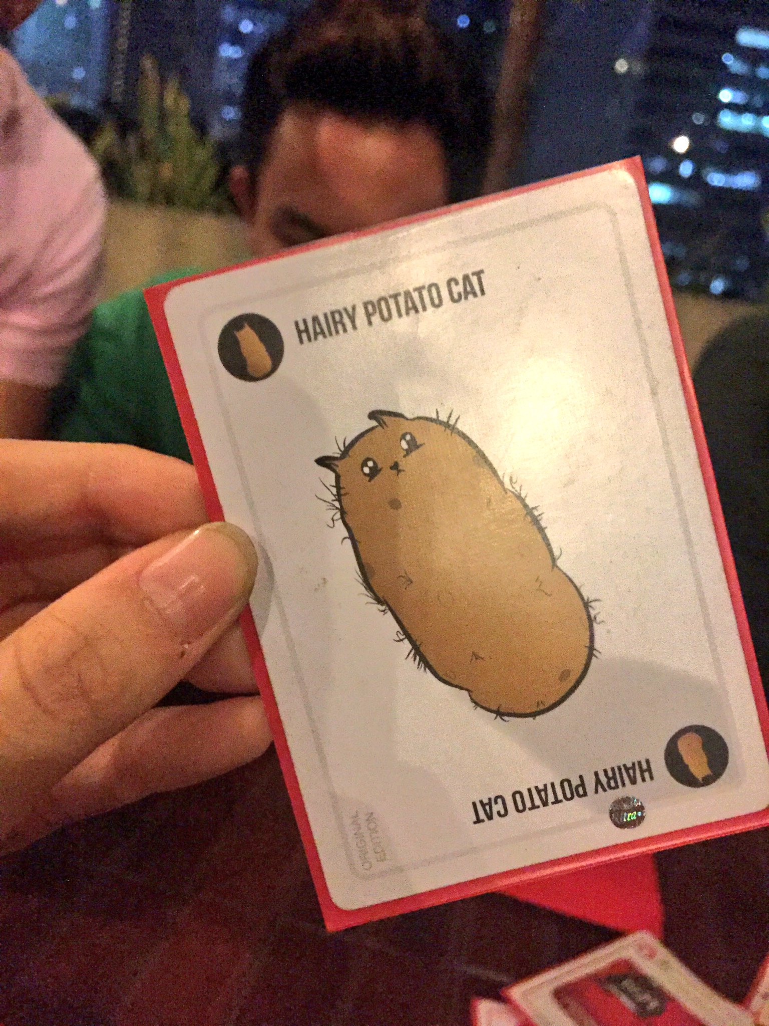Gia Garcia on X favorite part of the day meeting the Hairy Potato Cat. weirdest and cutest thing ever https t lUDftfgIYq X