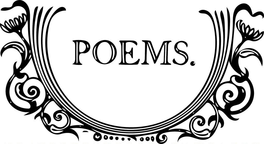 readwrite2016's tweet image. A MAN OF NO IDENTITY readwriteabook.wordpress.com/2016/08/23/poe…