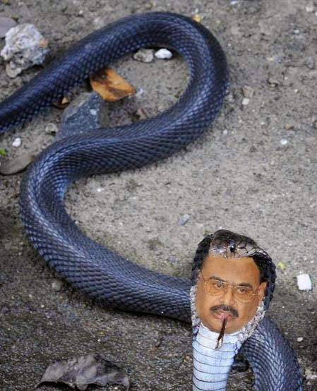 FawadAahmed's tweet photo. #MQM Dust Like Snake #Karachi #AltafHussain
#COASSealsMQMFate
#ReportMetPoliceNow
#BanMQM
#MQMCommitsSuicide https://t.co/3YYNSrvS56