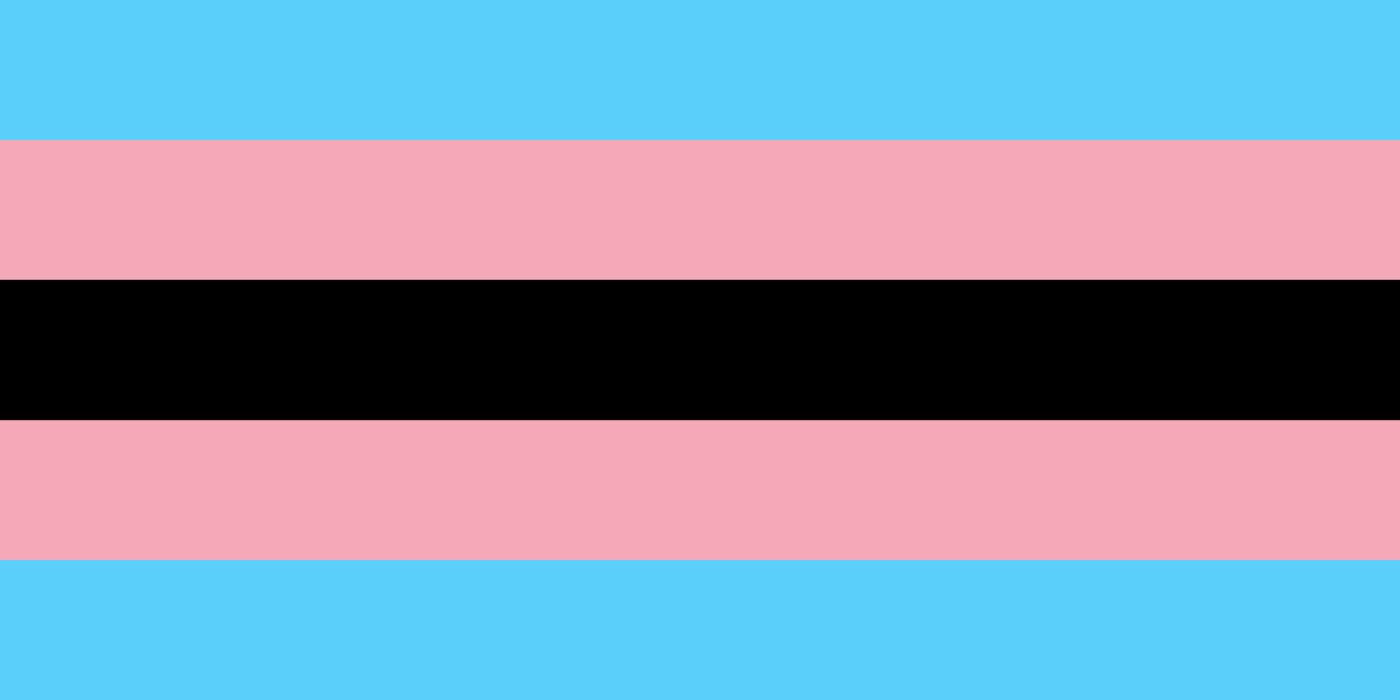 Raquel Willis (she/her) on X: I designed the Black Trans Flag to