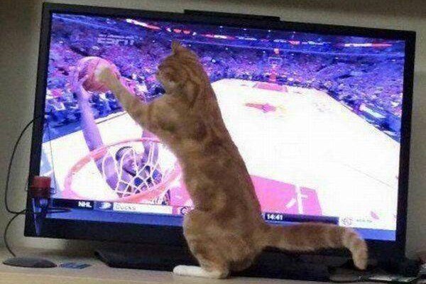 Next #Play4thePot <a href="/liveonelgin/">LIVE! on Elgin</a>: Fri., Sept. 9 feat. @eversonband, Swift Brown Fox, Tossin' Socks, &amp; <a href="/CatzPajamin/">CatzPajamin</a>!