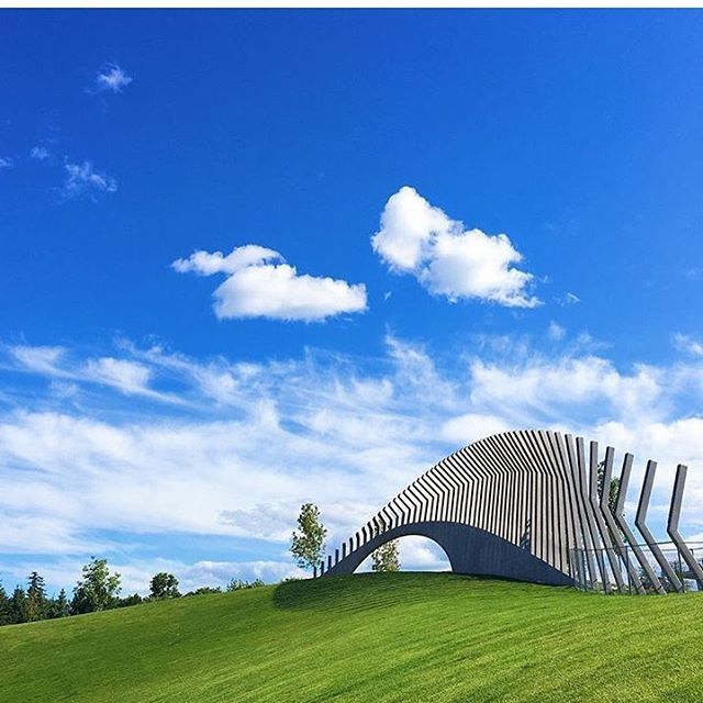 insideOTT's tweet photo. You are looking mighty fine this morning, Ottawa. 😍 • Photo by: @xhannahzhang •
#insideOTT #myOttawa #igersOttawa … https://t.co/zBw7ZXtsiD