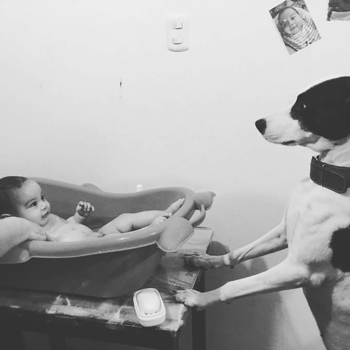 martineventos28's tweet photo. Bañando a mi hijito y Aiko cuidandolo #CompartirEsCool 
#CompartirEsCool https://t.co/nCAiTccsfU