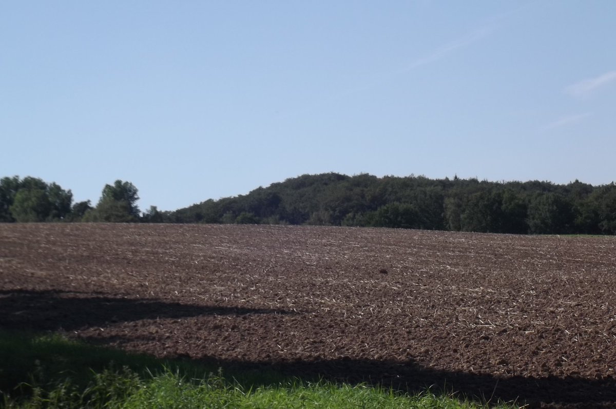 TECKNETPICTURE's tweet image. war Heute in den Feldern