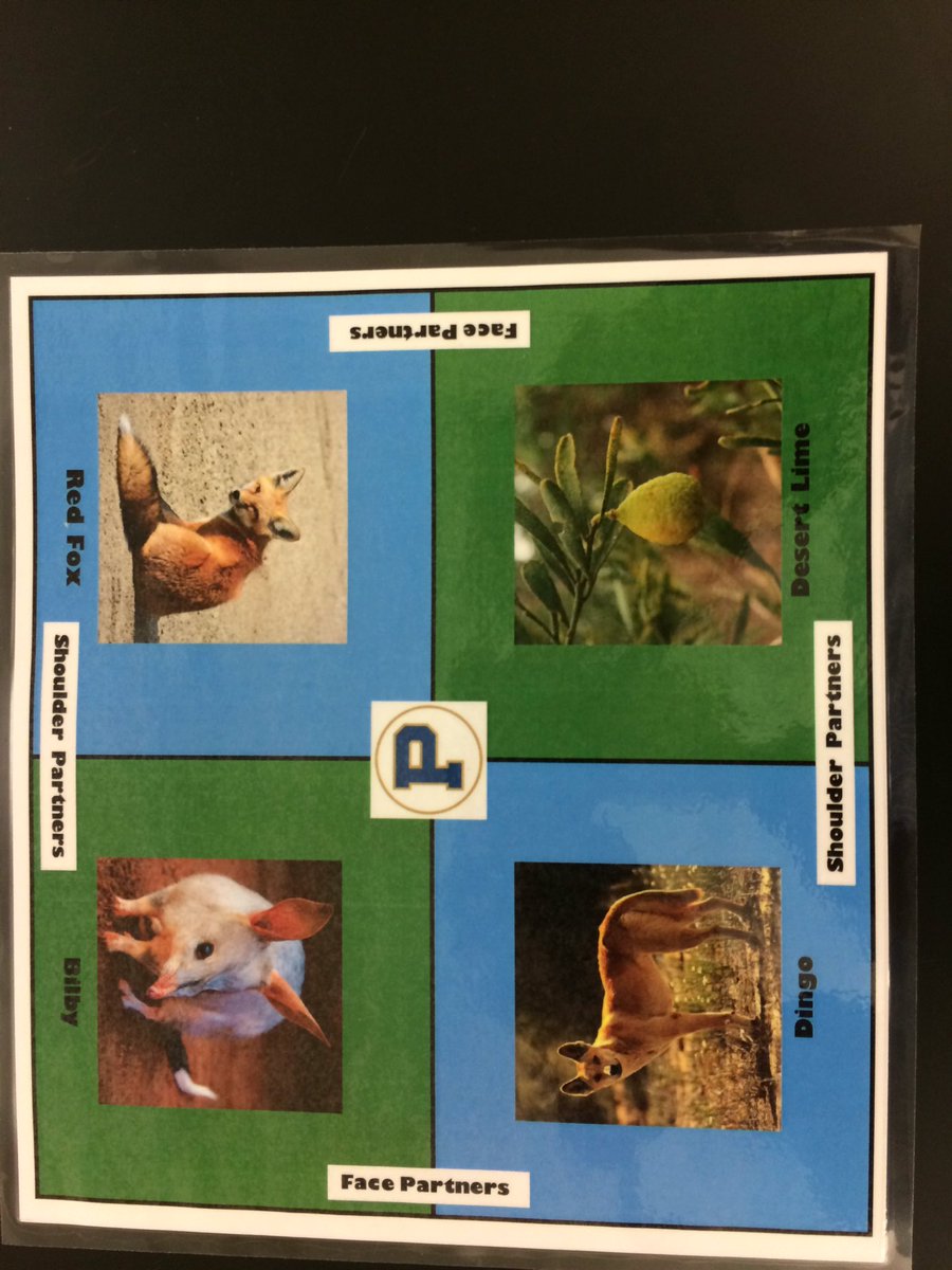 peteradry's tweet image. @Cmaxwell1Craig Kagan in action!! #prinpd