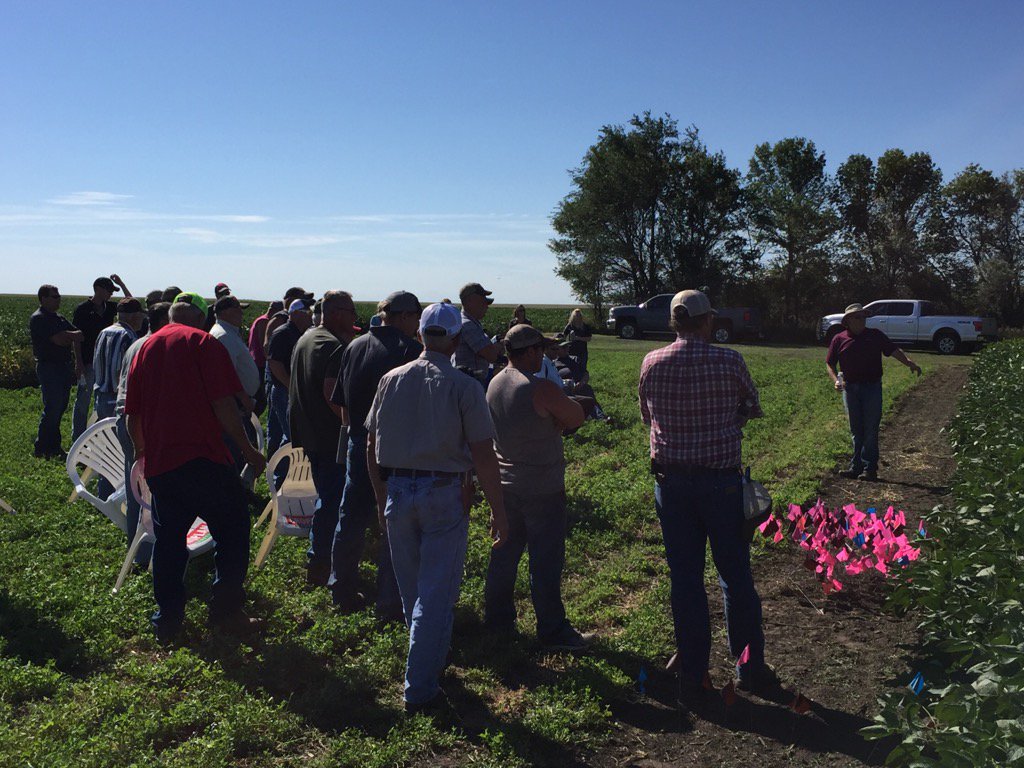 croplanman's tweet photo. #FCA Plot Tour Day KG explaining the importance of #KillingEveryWeed https://t.co/IdXbeQFXqZ