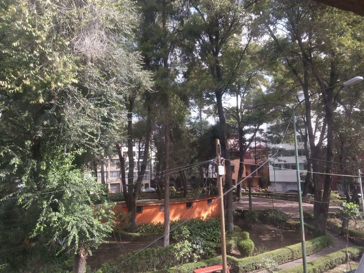 formula6_rn2's tweet photo. Muchas gracias a @TimeOutMexico por el artículo:Parque Circular de Morelia https://t.co/IwiVWY5hI0 #LaRomaSomosTodos https://t.co/dKByIFy8Zq