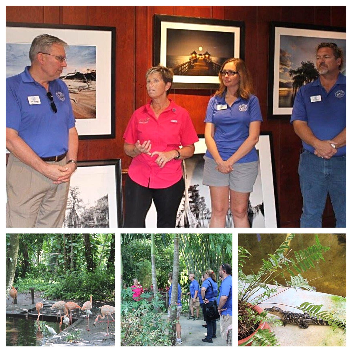 WonderGardens tweet media