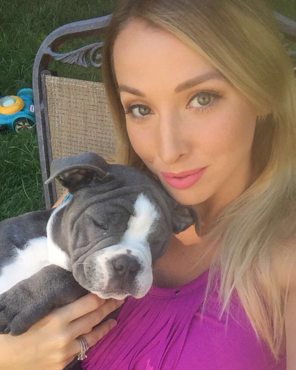 Rackeysmackey's tweet photo. Puppy eye boogers are so in right now #bulldog #oldeenglishbulldogge #eyeboogers #iwantataco https://t.co/kREN63kwfy