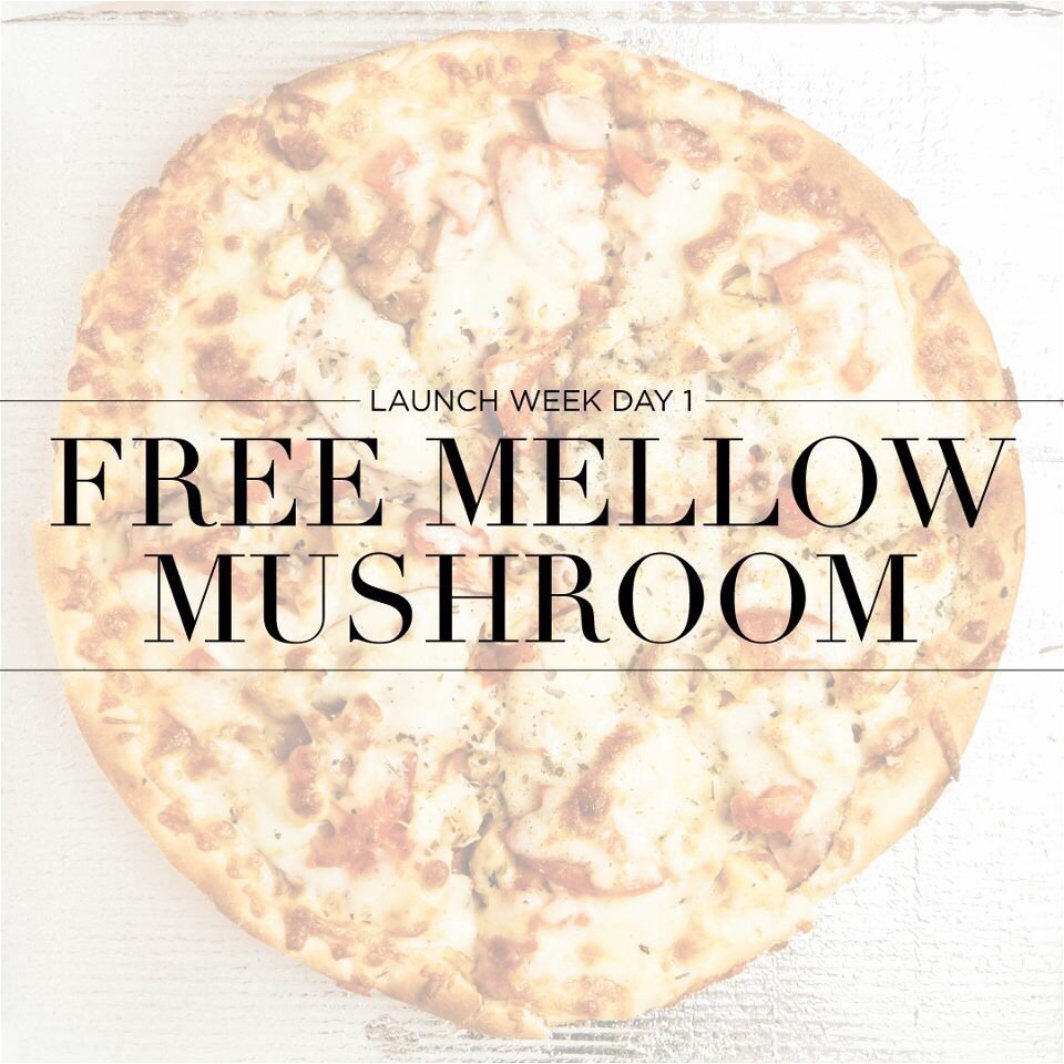 AppStateExt's tweet image. BLOWING ROCK || Mini Olympics + FREE Mellow Mushroom pizza. Meet 6:30PM at Summit Circle (East) or Trivette (West)