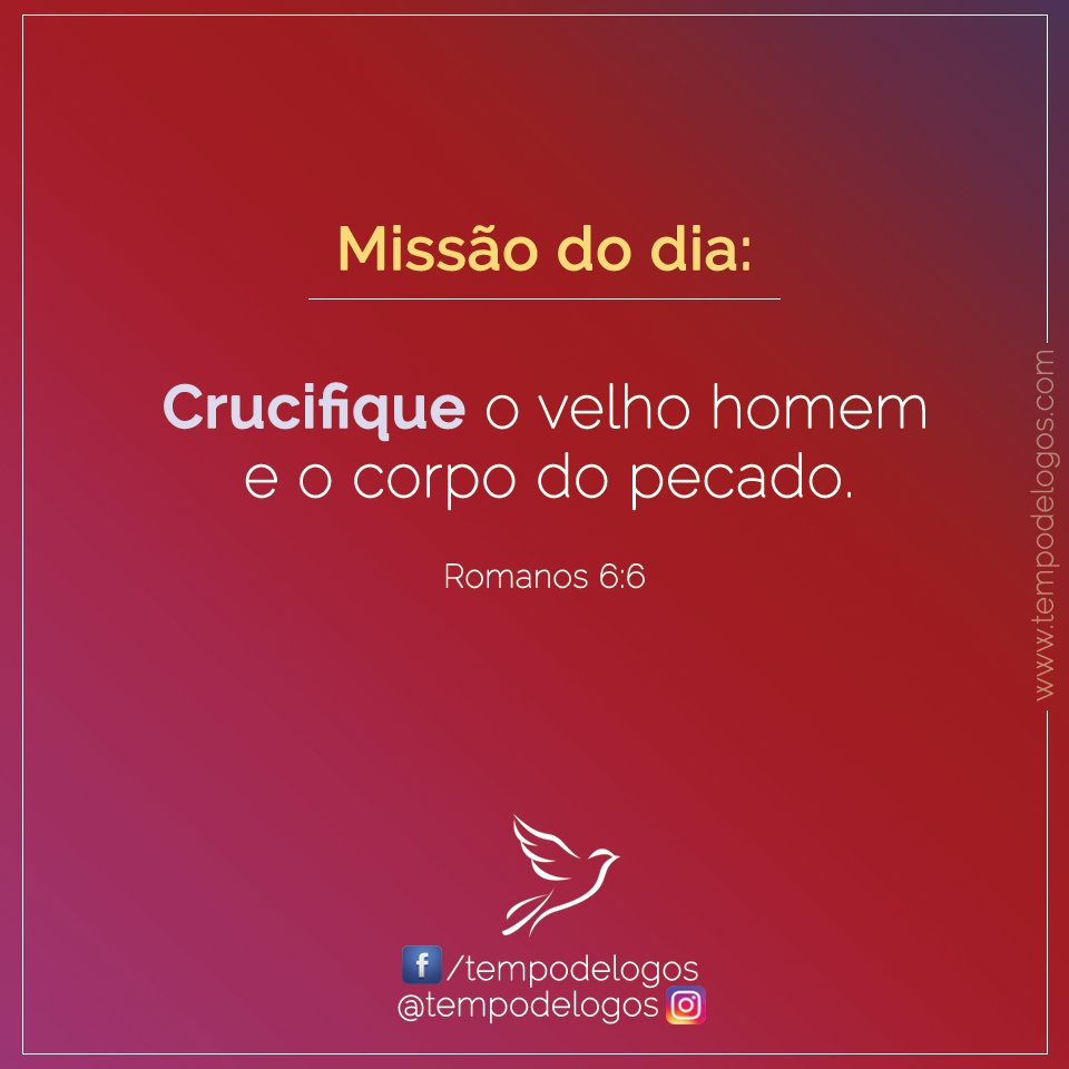 tempodelogos's tweet photo. Missão do Dia 
Acesse: https://t.co/baqr5Sb0zZ
#TempodeLogos #MissãodoDia https://t.co/2tTM8tpzi7