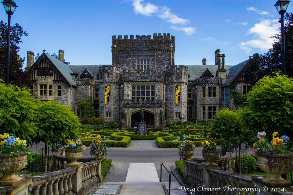 Welcome Students!!😄
Auradon Prep Underground High School🏣 is now Enrolling students.
Grades 9th-12th