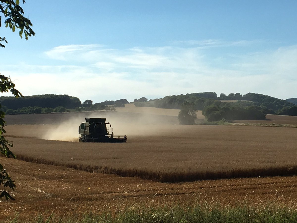 Harvest time - the view from our windows! <a href="/sdnpa/">South Downs National Park</a> <a href="/Discover_Chi/">Visit Chichester</a>