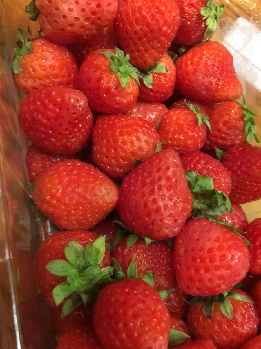 Perfect evening for a Pitcher of Pimms 🍓🍋🍹 #pimmsoclock #cocktails #summerevenings