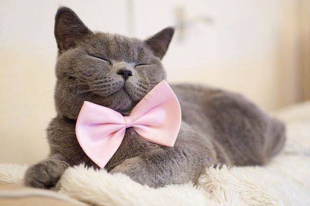 🐾😺🎈🐯🍒🌞🐾 It was again a great party with all of you aand nnnnow ... 😴😴😴