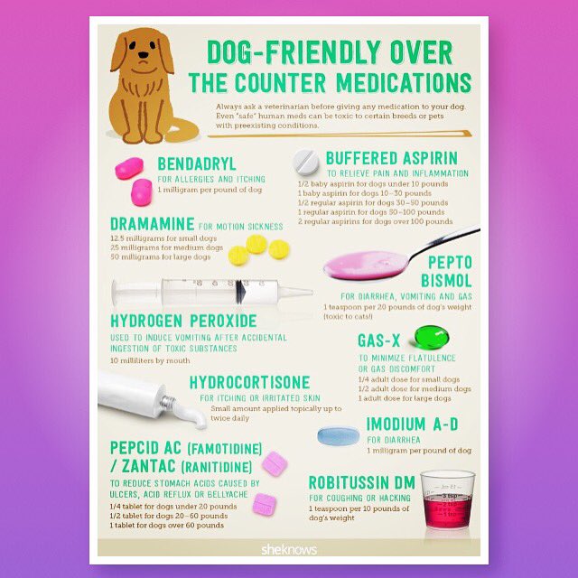 dog friendly over the counter meds