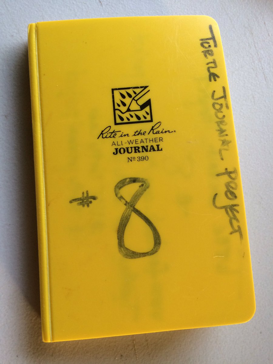 sᴉɹɹǝℲ ǝllǝɥɔoɹ tweet media