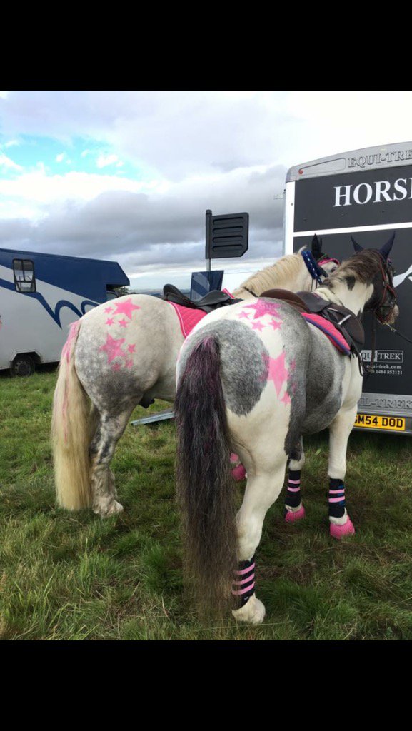 abfabcateringuk's tweet photo. Ride for research https://t.co/fuJBi2cdnB