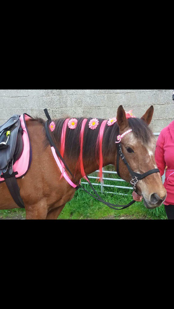 abfabcateringuk's tweet photo. Look at Ride for research on Facebook https://t.co/JVyGg1Tgag
