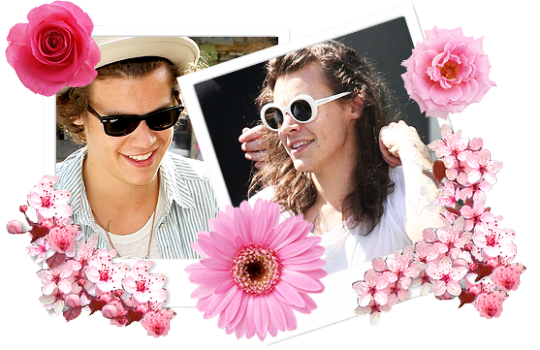 HarryS_Source's tweet photo. #TumblrDesign l https://t.co/NKdDCmbpNy