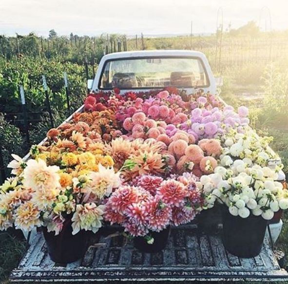 labelchoices's tweet photo. Good morning everyone!! via @elsas_wholesomelife #beauty #organic #productlabels #labels -  https://t.co/nNQi26G60I https://t.co/SszGKxnHUl