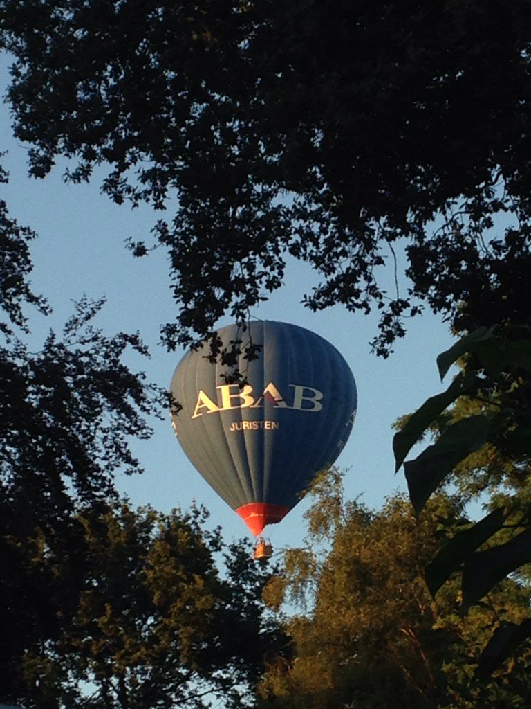 FemkeFinK's tweet photo. Ook dit is onze klant @ABABaccountants #zomeravond https://t.co/k7iwq66Fa7
