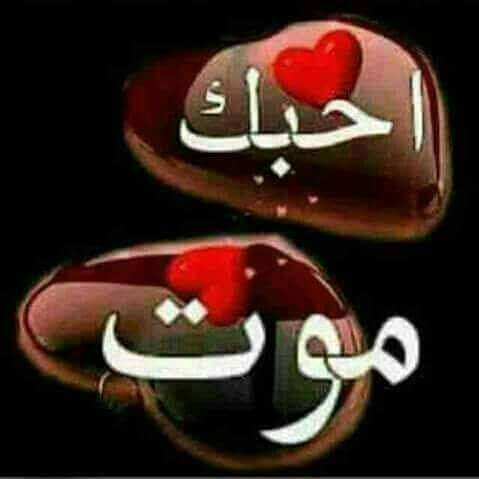 حميد غالب (@ghalbh88) on Twitter photo 