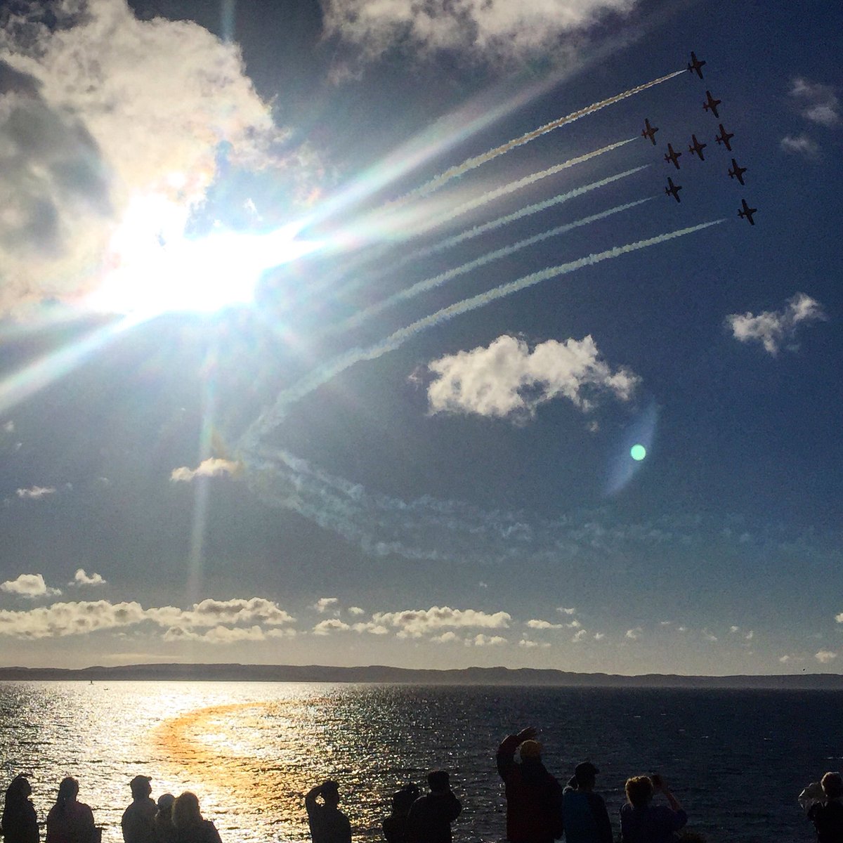 Melissa Royle (@melissaroyle) | Twitter