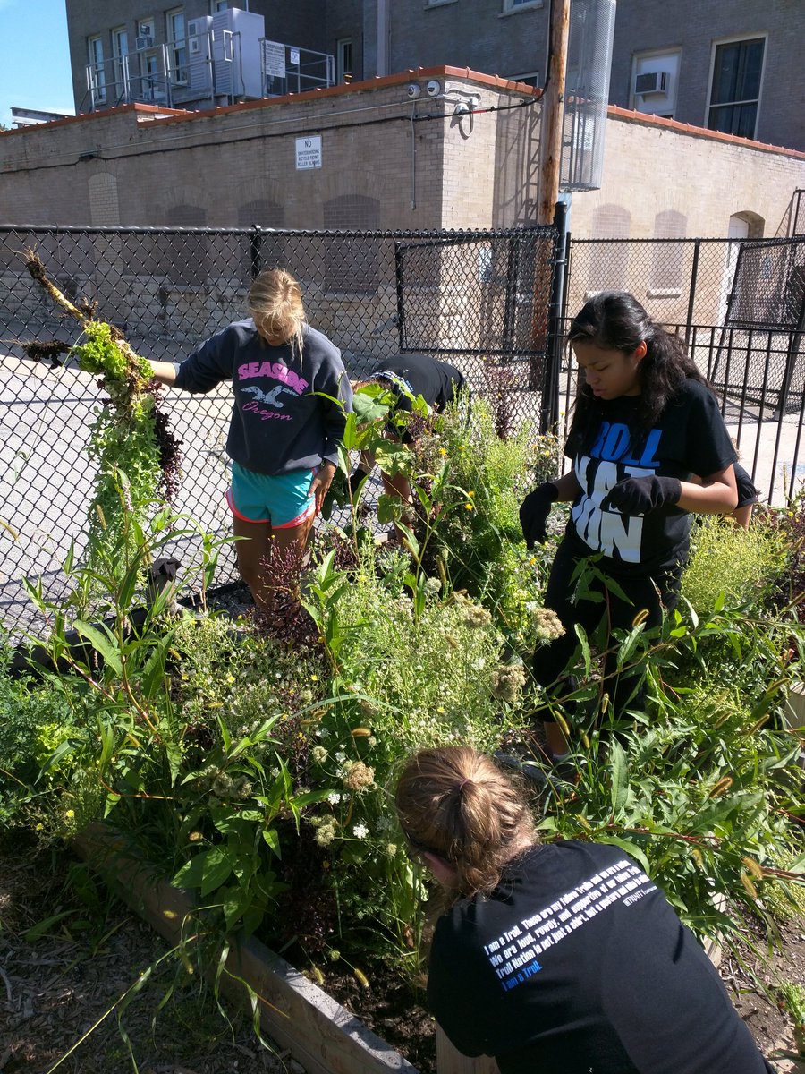 TrinityHonors's tweet photo. #Trinitytroll Honors Students making a small good difference at Chicago's Poe Classical School. https://t.co/sumBAgU764