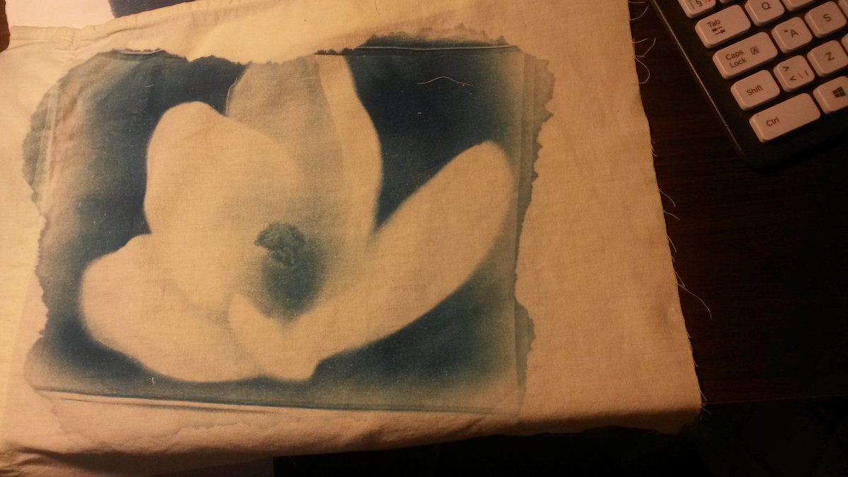 TimoRemes's tweet image. Cyanotype on fabric #cyanotype #photography