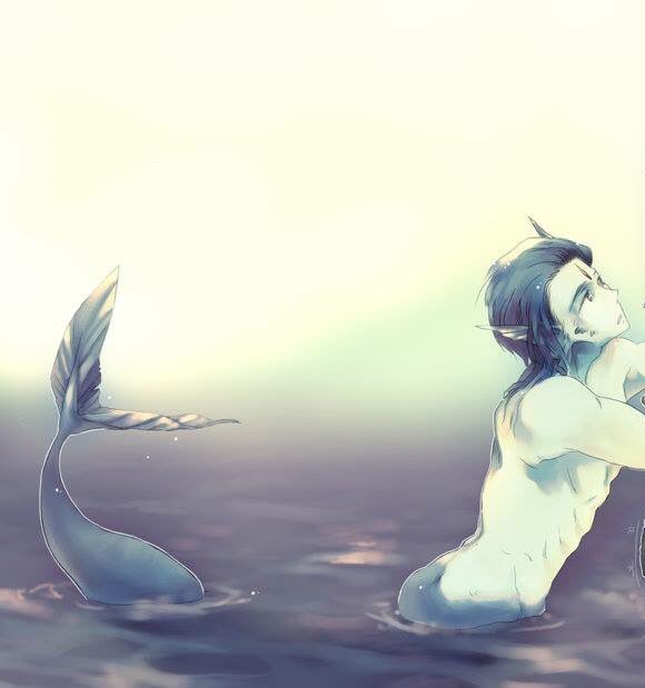 CuteFishBoy's tweet image. 