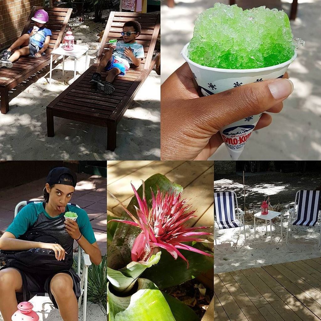 Enjoying the scene during an outdoor board meeting with "The Bosses" at <a href="/popsiclebeach/">Playa del Popsical</a> tod… ift.tt/2bLVTmJ