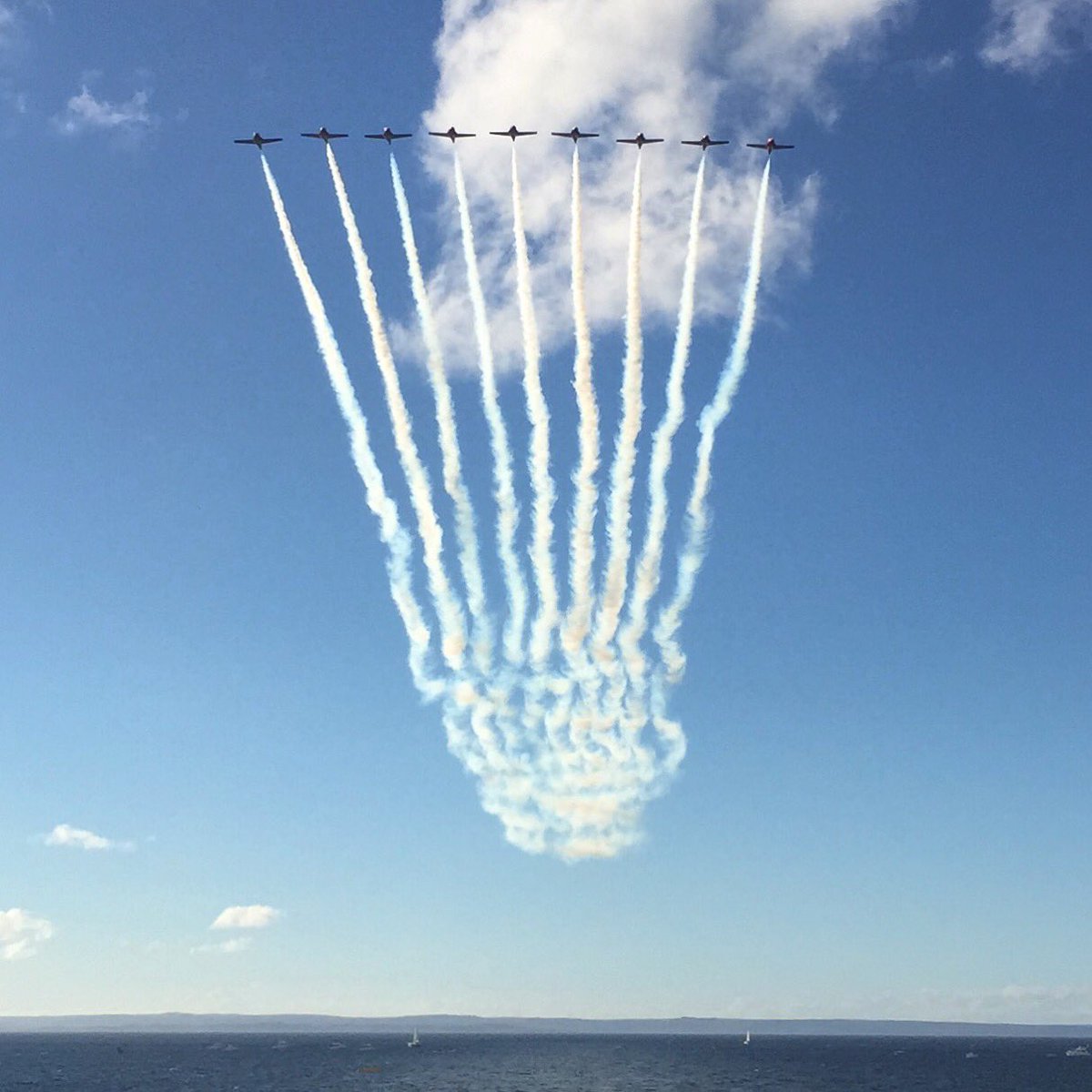 Melissa Royle (@melissaroyle) | Twitter