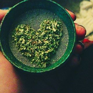 BethHotham's tweet photo. I love weed so so much :) https://t.co/Am9KVPqwvF