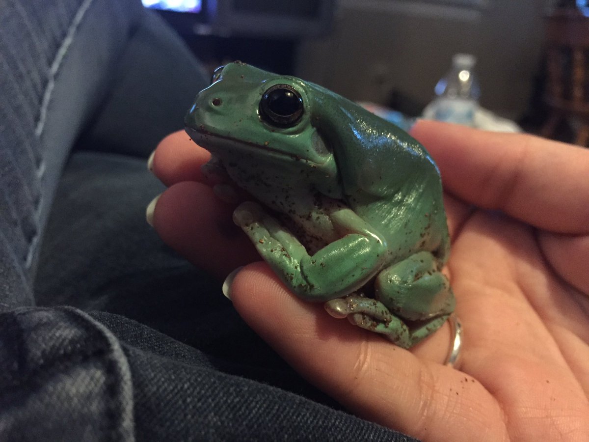 binguses's tweet image. i love you!!!!!!!!!