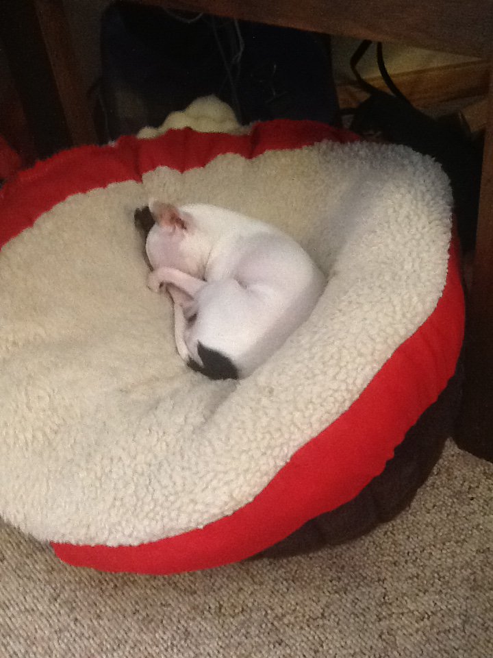 GrohsJennifer's tweet image. Angel