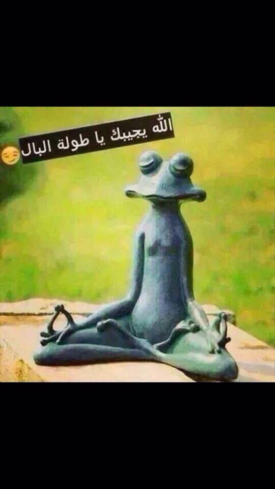 simoo778's tweet photo. مافيه جادين😓😥😥😧 https://t.co/Om5lKQnp39