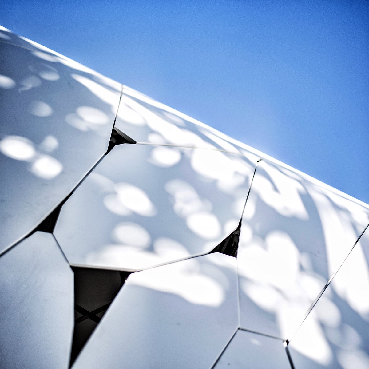 _arma_'s tweet photo. Details make perfection but perfection is not a detail.
Client : @ShermanSCAF
#digitalfabrication #SCAFproject20 https://t.co/tgk5cOGjSo