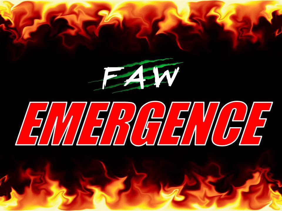 Don't miss Full Attitude Wrestling's first ever PPV event this weekend!