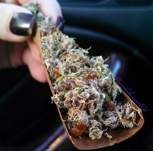 DankTime420's tweet photo. oooo yea' https://t.co/pfYA0x0ZsD