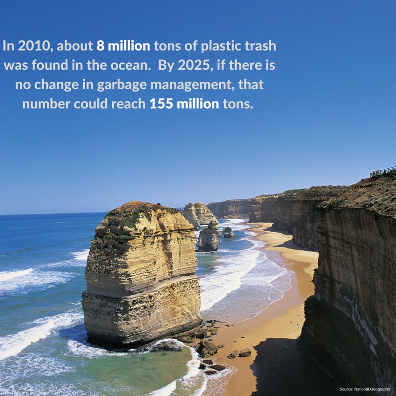 Support4Planet's tweet image. 