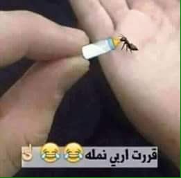 الشمري (@gasmali332) on Twitter photo 