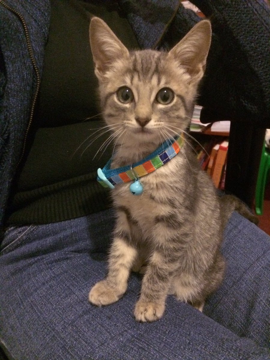 Emily VZ tweet media