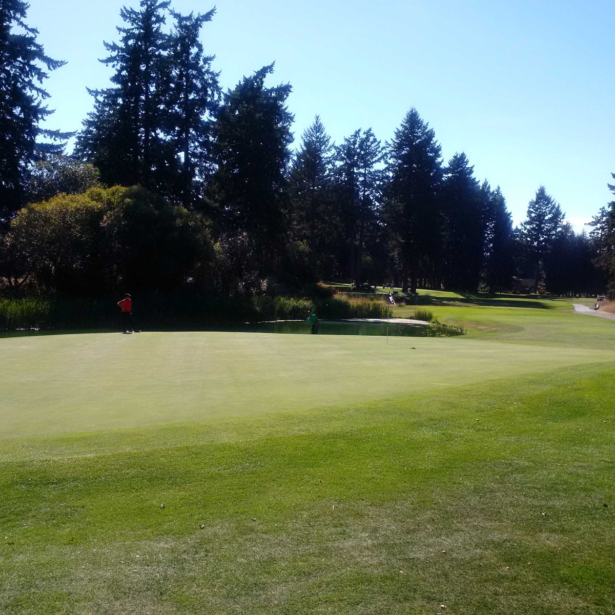 Another one of our Tour members, Brian Wise on the 4th <a href="/RoyalColwoodGC/">Royal Colwood Golf Club</a> during the PGA of BC Championship #havingfun